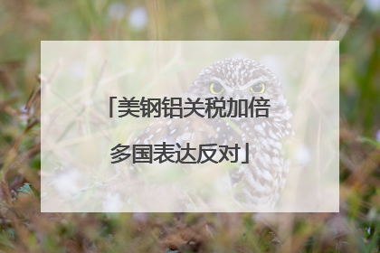 美钢铝关税加倍 多国表达反对