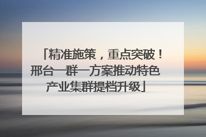 精准施策，重点突破！邢台一群一方案推动特色产业集群提档升级