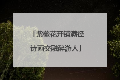 紫薇花开铺满径 诗画交融醉游人