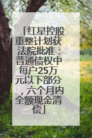 红星控股重整计划获法院批准：普通债权中每户25万元以下部分，六个月内全额现金清偿