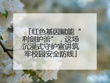 红色基因赋能“利剑护蕾”，这场沉浸式守护宣讲筑牢校园安全防线