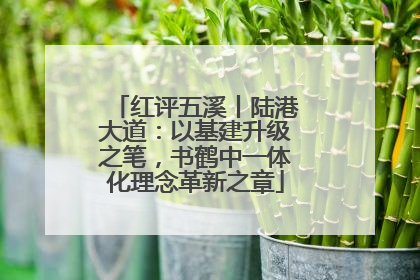 红评五溪丨陆港大道：以基建升级之笔，书鹤中一体化理念革新之章
