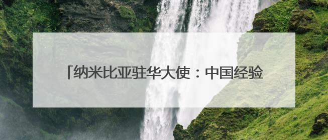 纳米比亚驻华大使：中国经验表明，现代化不光是经济腾飞