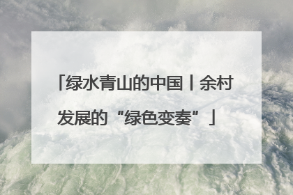 绿水青山的中国丨余村发展的“绿色变奏”