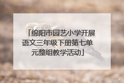 绵阳市园艺小学开展语文三年级下册第七单元整组教学活动