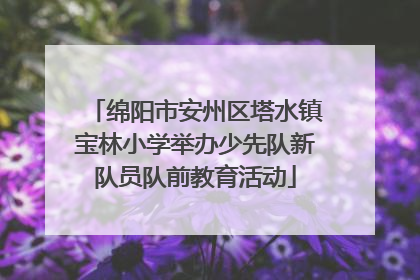 绵阳市安州区塔水镇宝林小学举办少先队新队员队前教育活动
