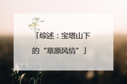 综述：宝塔山下的“草原风情”