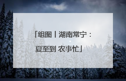 组图丨湖南常宁：夏至到 农事忙