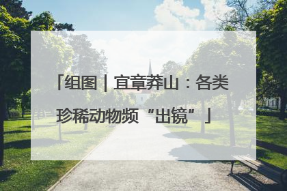 组图｜宜章莽山：各类珍稀动物频“出镜”