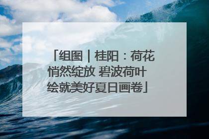 组图｜桂阳：荷花悄然绽放 碧波荷叶绘就美好夏日画卷