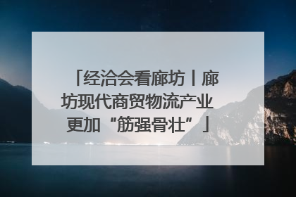 经洽会看廊坊丨廊坊现代商贸物流产业更加“筋强骨壮”