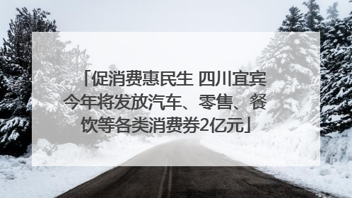 促消费惠民生 四川宜宾今年将发放汽车、零售、餐饮等各类消费券2亿元