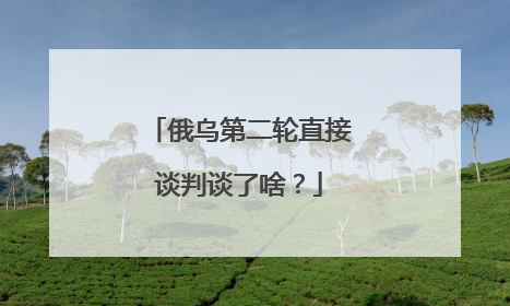 俄乌第二轮直接谈判谈了啥？