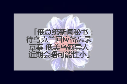 俄总统新闻秘书：待乌克兰回应备忘录草案 俄美乌领导人近期会晤可能性小