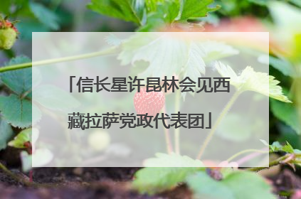 信长星许昆林会见西藏拉萨党政代表团
