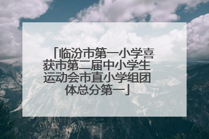 临汾市第一小学喜获市第二届中小学生运动会市直小学组团体总分第一