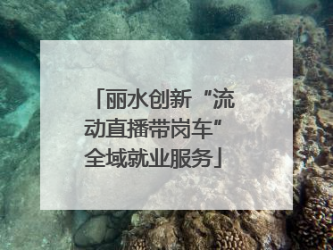 丽水创新“流动直播带岗车”全域就业服务