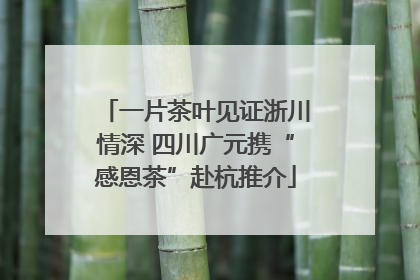 一片茶叶见证浙川情深 四川广元携“感恩茶”赴杭推介