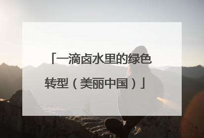 一滴卤水里的绿色转型（美丽中国）
