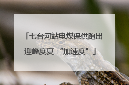 七台河站电煤保供跑出迎峰度夏 “加速度”