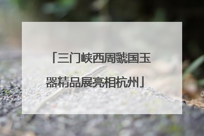 三门峡西周虢国玉器精品展亮相杭州