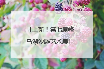 上新！第七届骆马湖沙雕艺术展