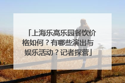 上海乐高乐园餐饮价格如何？有哪些演出与娱乐活动？记者探营