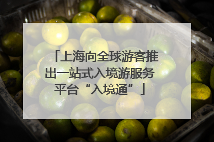 上海向全球游客推出一站式入境游服务平台“入境通”