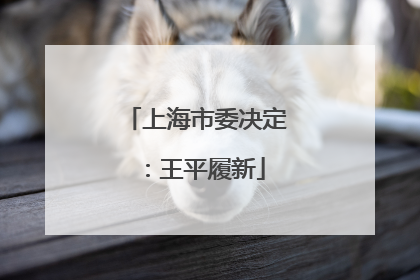 上海市委决定：王平履新