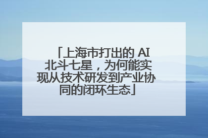 上海市打出的 AI 北斗七星，为何能实现从技术研发到产业协同的闭环生态