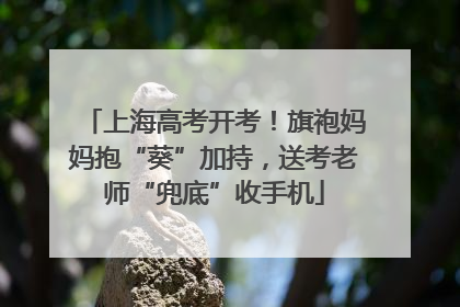 上海高考开考！旗袍妈妈抱“葵”加持，送考老师“兜底”收手机