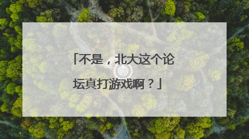 不是，北大这个论坛真打游戏啊？