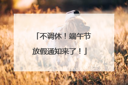 不调休！端午节放假通知来了！