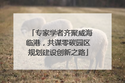 专家学者齐聚威海临港，共谋零碳园区规划建设创新之路