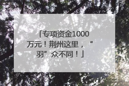 专项资金1000万元！荆州这里，“羽”众不同！