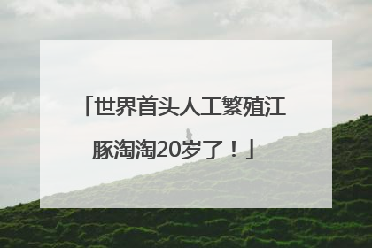 世界首头人工繁殖江豚淘淘20岁了！