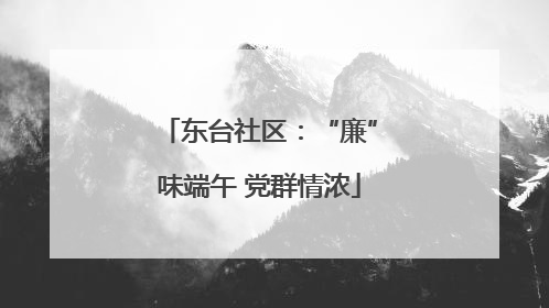 东台社区：“廉”味端午 党群情浓