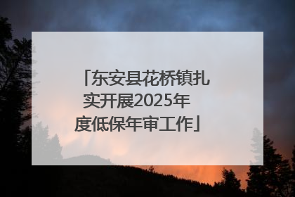 东安县花桥镇扎实开展2025年度低保年审工作