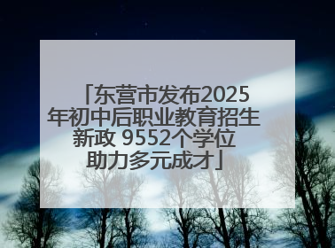 东营市发布2025年初中后职业教育招生新政 9552个学位助力多元成才