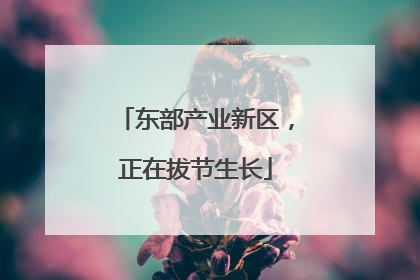 东部产业新区，正在拔节生长