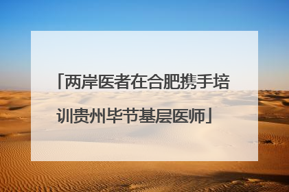 两岸医者在合肥携手培训贵州毕节基层医师
