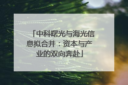 中科曙光与海光信息拟合并：资本与产业的双向奔赴