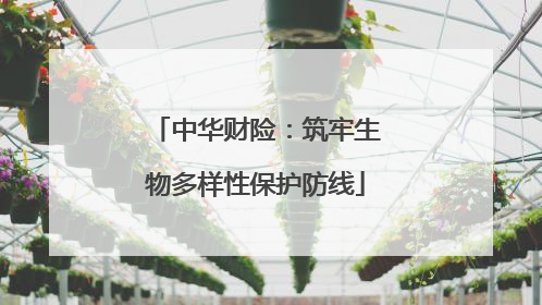 中华财险：筑牢生物多样性保护防线