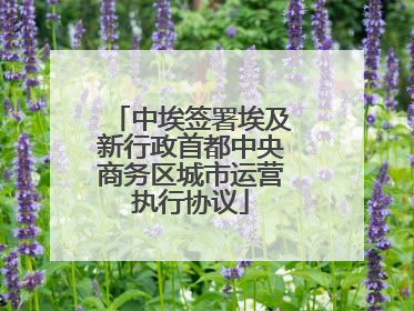 中埃签署埃及新行政首都中央商务区城市运营执行协议