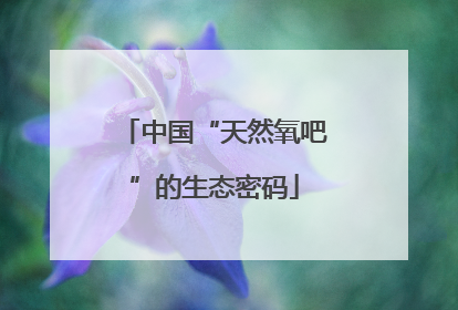 中国“天然氧吧”的生态密码
