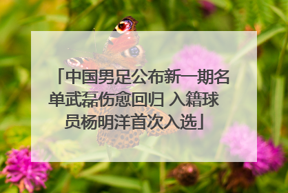 中国男足公布新一期名单武磊伤愈回归 入籍球员杨明洋首次入选