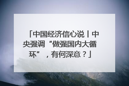 中国经济信心说丨中央强调“做强国内大循环”，有何深意？