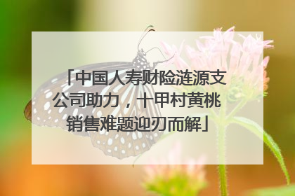 中国人寿财险涟源支公司助力，十甲村黄桃销售难题迎刃而解