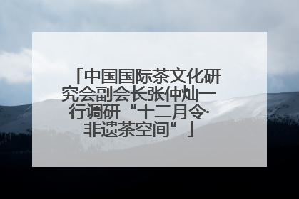 中国国际茶文化研究会副会长张仲灿一行调研“十二月令·非遗茶空间”