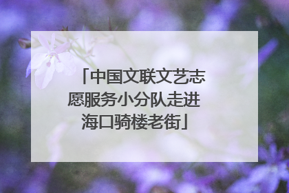 中国文联文艺志愿服务小分队走进海口骑楼老街